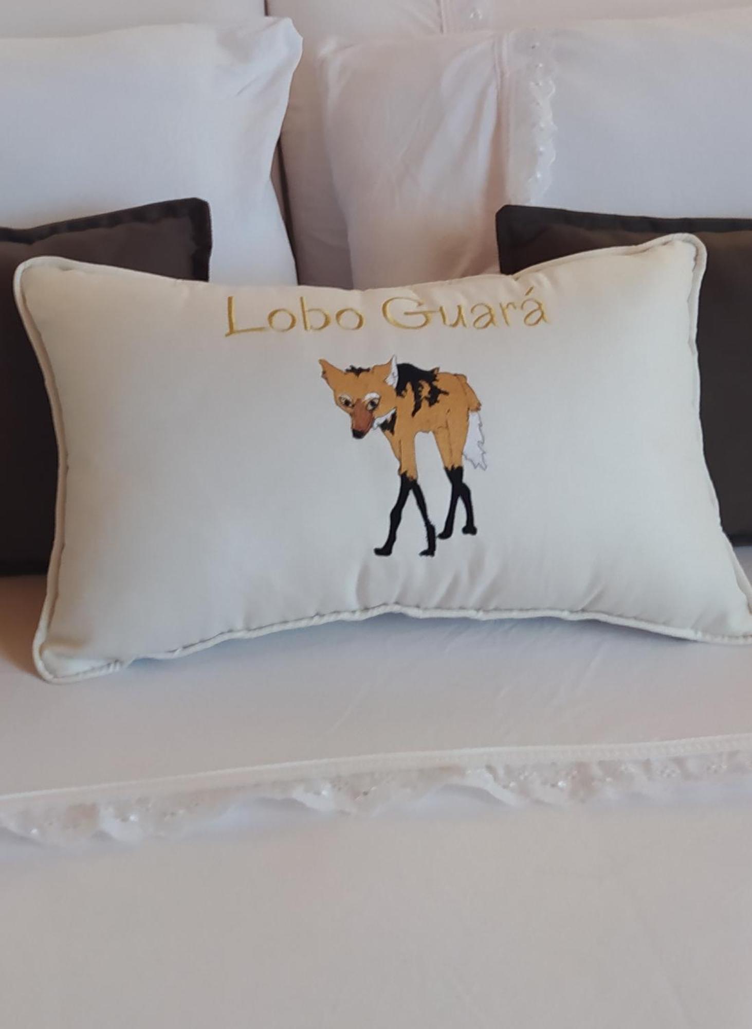 Lobo Guara Hospedagem Loft Алту-Параїзу-ді-Гояс Екстер'єр фото